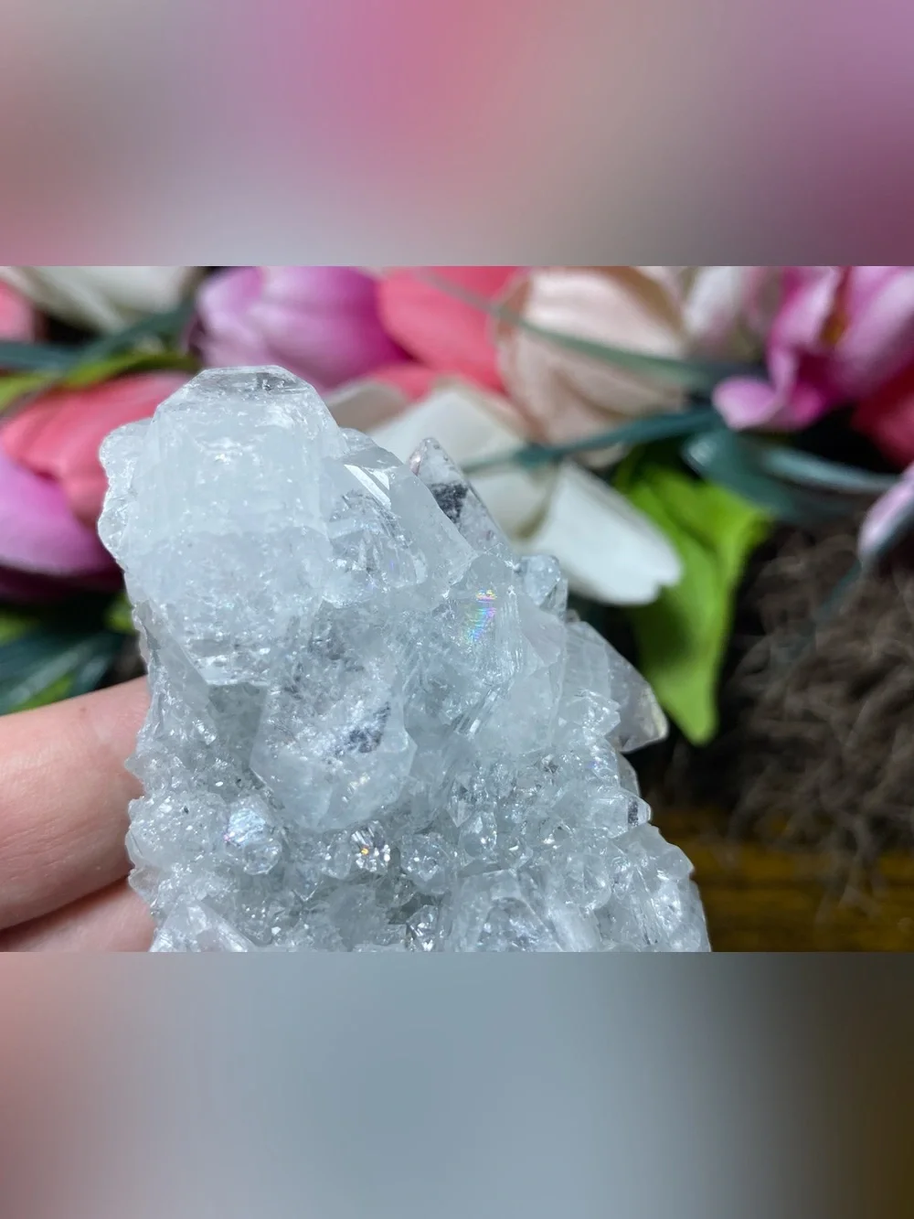 Apophyllite Stalactite Cluster